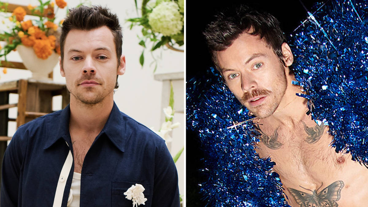 Harry Styles Reveals Inspiration for 